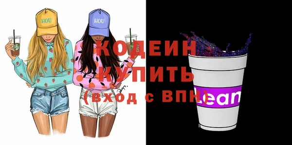 индика Волосово