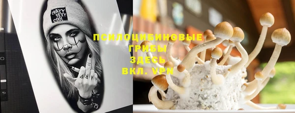 гашик Верея