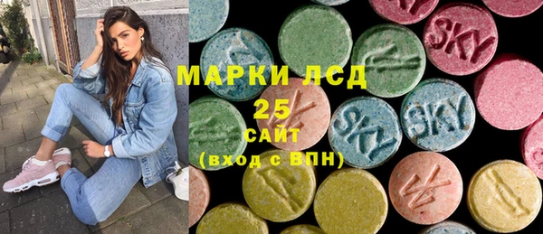 гашик Верея