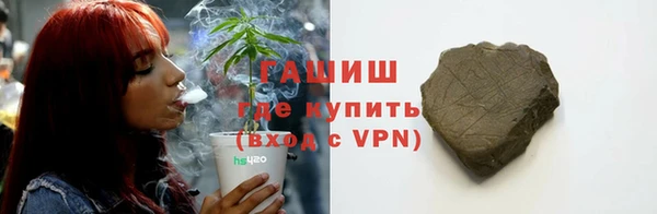 индика Волосово
