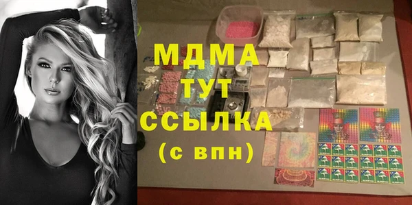 индика Волосово