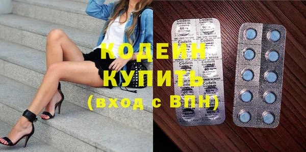 индика Волосово